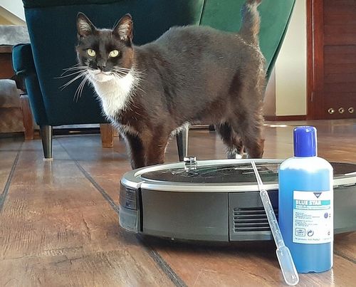 Blue Star WYDAJNY Płyn do robotów czyszczących mopujących 200 ml z pipetą na Arena.pl