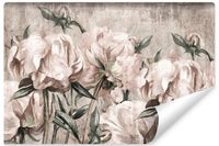 Fototapeta Do Sypialni ABSTRAKCJA Kwiaty Piwonie Peonie Beton 368cm x 254cm