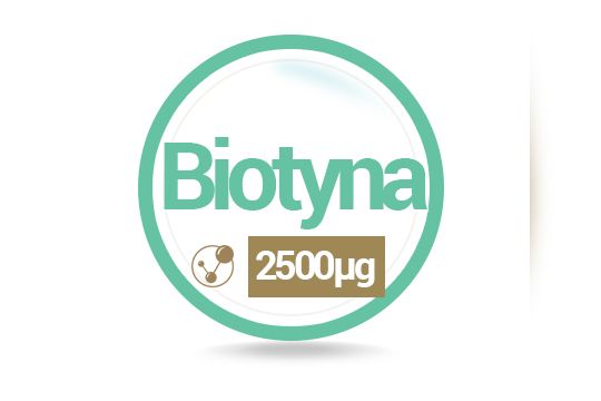 MODULATOR HOMOCYSTEINY B12 B6 B7 B9 Kwas Foliowy zdjęcie 4