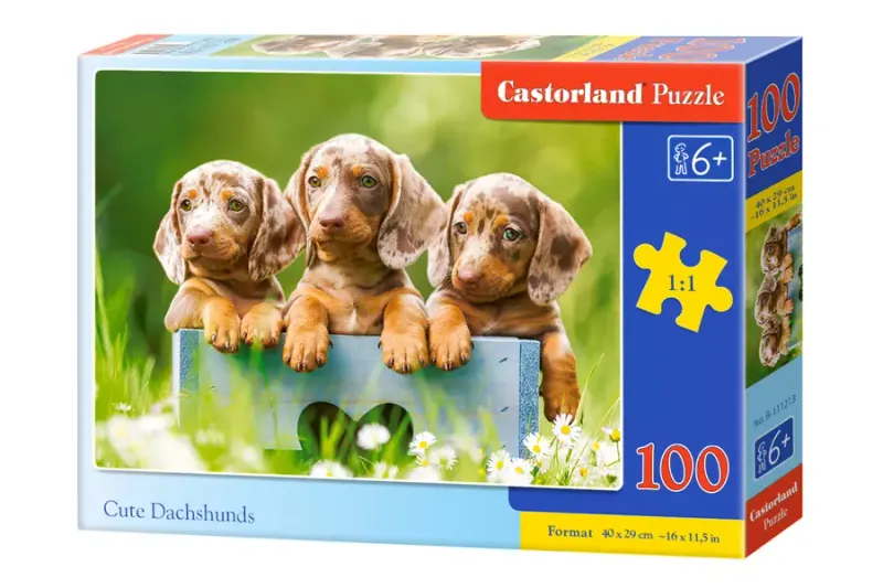 Puzzle 100 elementów. Słodkie jamniki zdjęcie 1