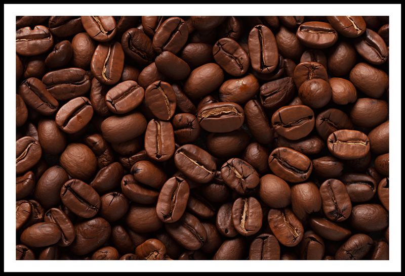 Plakat 91,5x60cm Esencja Aromatu zdjęcie 3