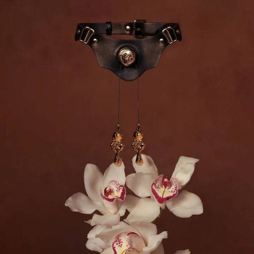 obroża collar with pulling nipple clamps upko na Arena.pl