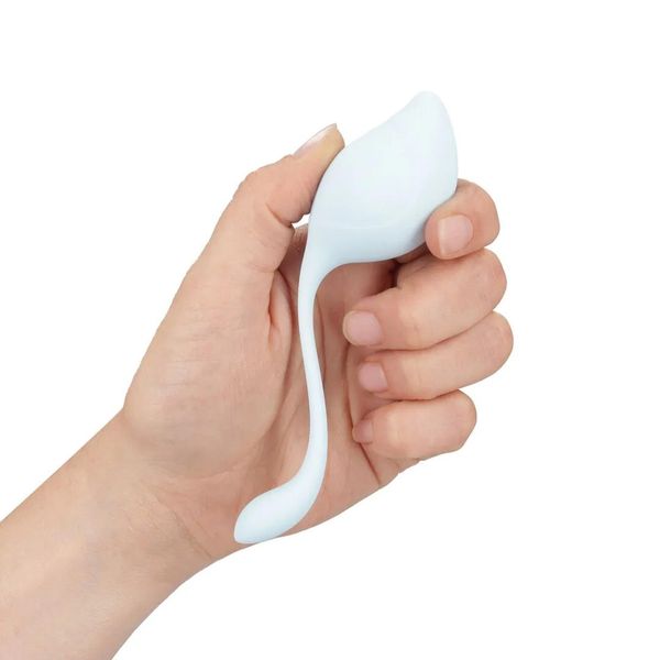 Pelvic Stem Kegel Kit - Multicolor zdjęcie 6