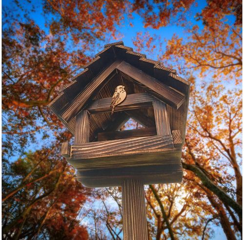 Karmnik Dla Ptaków Duży Na Prezent PREMIUM XXL Budka Ozdoba Ogrodu + na Arena.pl