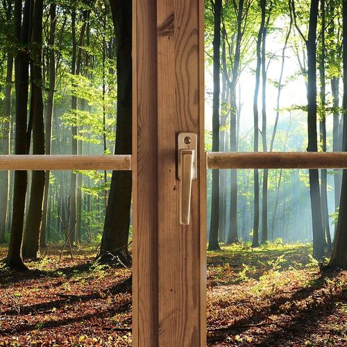Deco Panel, Okno - las 120x80 na Arena.pl