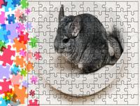 Puzzle tradycyjne Zwierzęta - Szynszyl