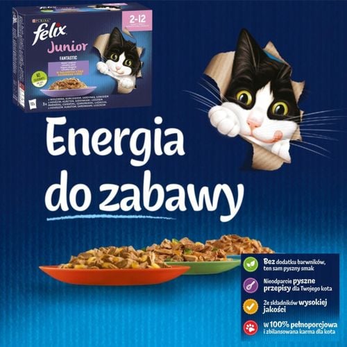 karma mokra dla kota felix wołowina kurczak łosoś sardynka 12 x 85g junior na Arena.pl