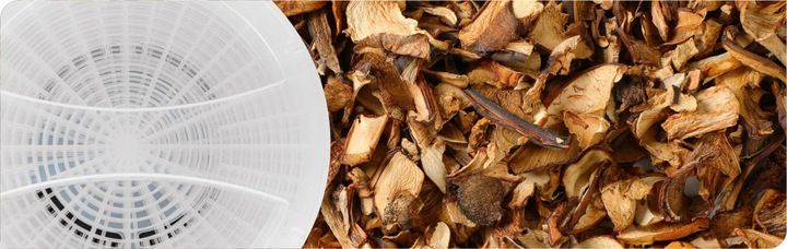 Suszarka spożywcza do grzybów Zelmer ZFD1010 520 W biała zdjęcie 4