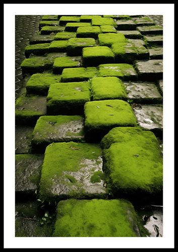 Plakat 40x60cm Zielona Mozaika na Arena.pl