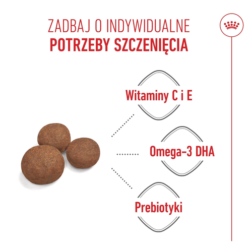 royal canin medium puppy 1kg na Arena.pl