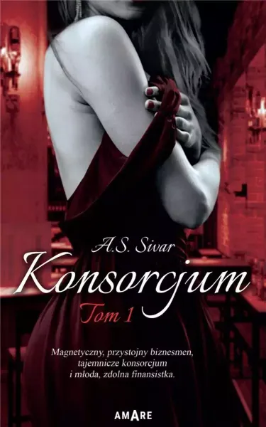 Konsorcjum T.1 zdjęcie 1