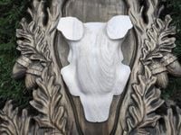 product-compare-59684331