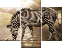 70 90CM OBRAZ 3 ELEM ZEBRA WODOPOJU ŚCIENNY PŁÓTNO