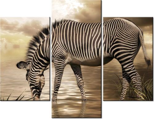 70 90CM OBRAZ 3 ELEM ZEBRA WODOPOJU ŚCIENNY PŁÓTNO na Arena.pl
