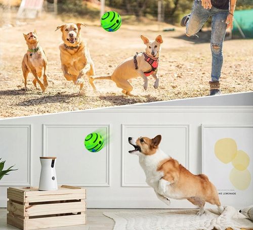 Interaktywna Zabawka dla Psa Piłka z Dźwiękiem Wytrzymała Dużych Ras Psów na Arena.pl