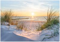 FOTOTAPETA PLAŻA MORZE WYDMY BAŁTYK WIDOK DO SYPIALNI SALONU TAPETA 400x280