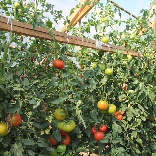 Sznurek polipropylenowy 65 m/50 g na Arena.pl