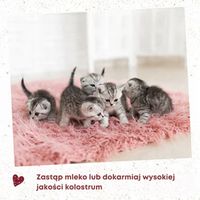 MLEKO ZASTĘPCZE z KOLOSTRUM dla Kotów cdVet feliTatz Kittenmilch 750g