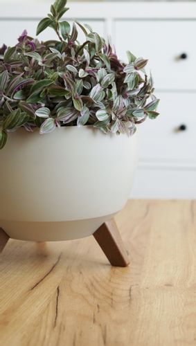 Doniczka, misa ROMA 240 | Kremowy na Arena.pl