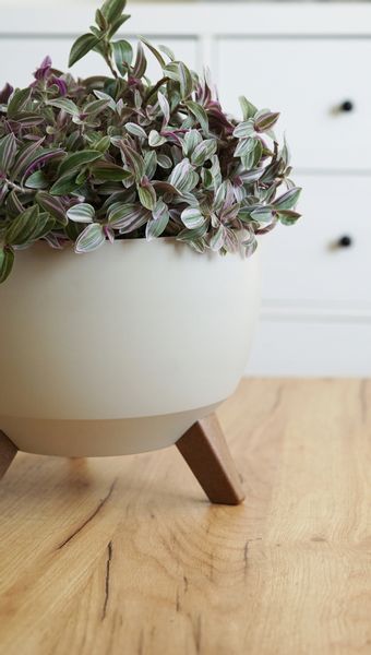 Doniczka, misa ROMA 240 | Kremowy zdjęcie 9