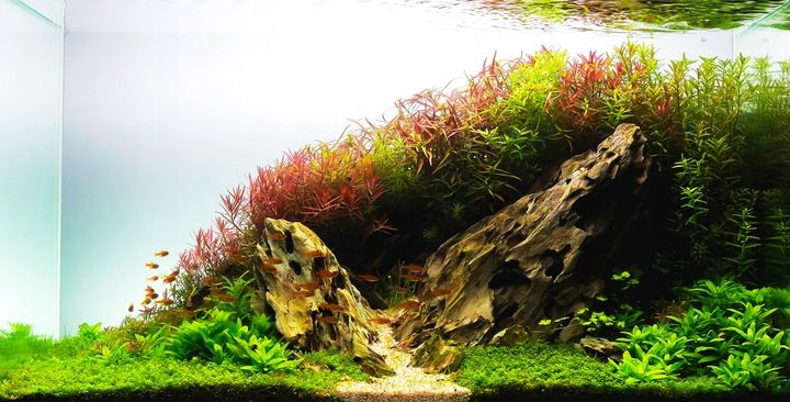 Podłoże Aktywne do Akwarium Siła Natury dla Twoich Roślin NATURE SOIL 3L zdjęcie 5