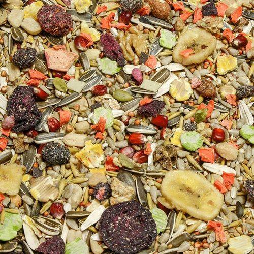 KARMA POKARM KOKTAJL 5kg dla papug dużych i średnich premium Champi na Arena.pl