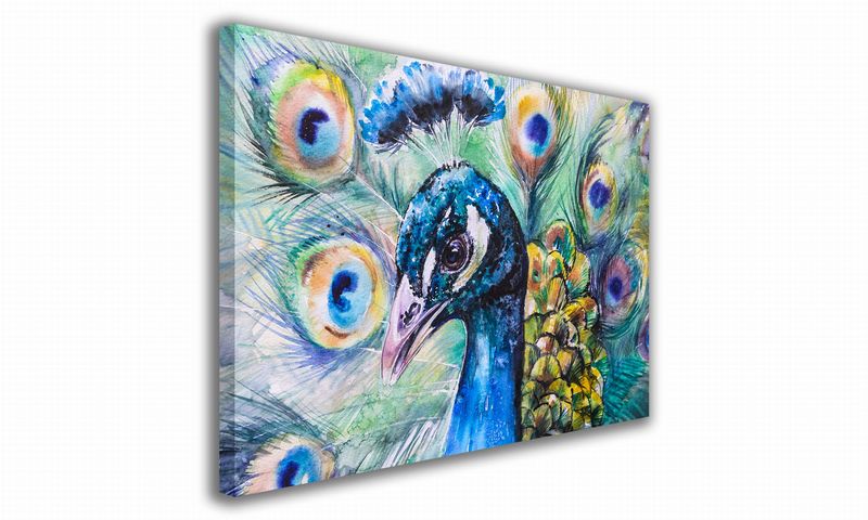 OBRAZ NA PŁÓTNIE 081 Paw 60x40cm zdjęcie 1