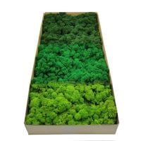 product-compare-61587943