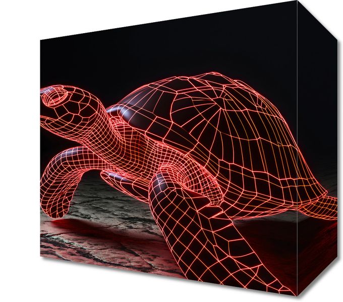 Obraz 20x20cm Neonowy Żółw zdjęcie 1