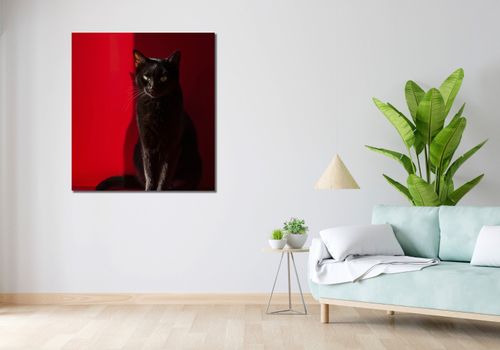 Obraz 90x100cm Elegancja w Cieniu na Arena.pl