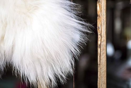 Dywan z Prawdziwej Owczej Skóry Miękki 110cm na Arena.pl