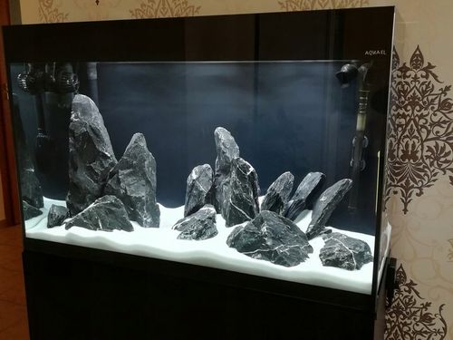 24kg Piasek Kwarcowy Biały do Akwarium 0,5-1mm na Arena.pl