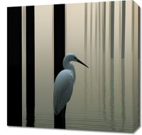 Obraz 50x50cm Mgiełka na Wodzie