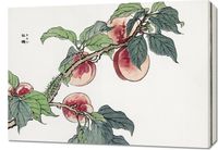 Obraz 70x50cm Gąsienica na Drzewie Morimoto Toko Japoński Vintage do Salonu