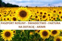 Słonecznik ozdobny NA KWIAT CIĘTY Taiyo 1kg DOPŁATY DOTACJE