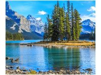 60X50CM JEZIORO MALIGNE OBRAZ ŚCIAN DREWNIANE