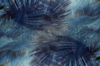 FOTOTAPETA kwiaty rośliny LIŚCIE MONSTERA SALON