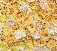 Tło do fotografii produktowej kulinarnej Flat Lay