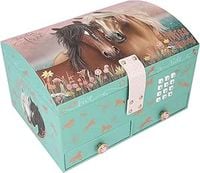 SZKATUŁKA GRAJĄCA NA KOD MISS MELODY 13612