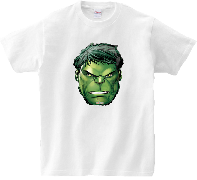 Koszulka T-shirt Hulk zdjęcie 1