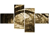 OBRAZ DROGA DRZEWAMI VINTAGE