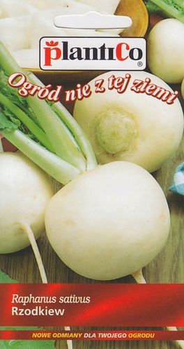NASIONA Rzodkiew Runder Weisser 5g PLANTICO Biała 406766 na Arena.pl
