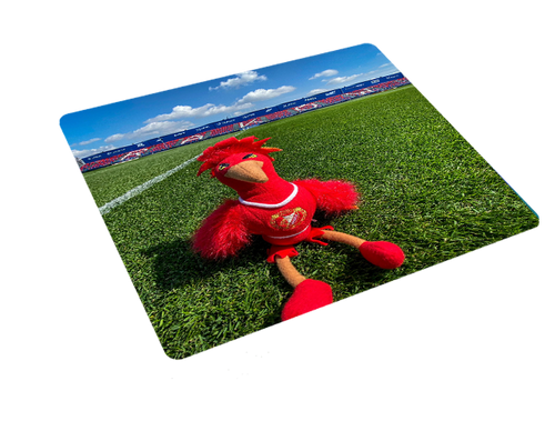 Podkładka pod myszkę Widzew Łódź na Arena.pl