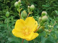 product-compare-58227952