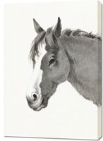 Obraz 70x100cm Głowa Konia, Jean Bernard Vintage do Salonu