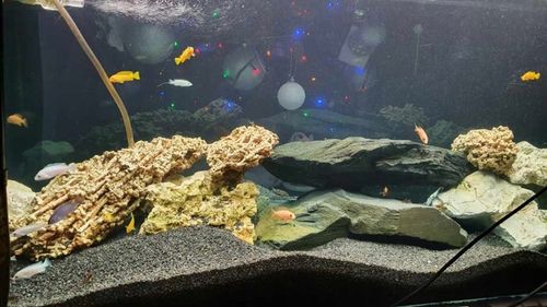 LAWA LAWA WULKANICZNA 2-8 mm 25 kg ŻWIREK AKWARIUM NA DNO na Arena.pl