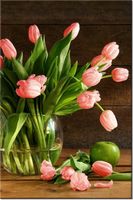 product-compare-58710941