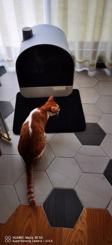 Mata wycieraczka pod kuwetę 60x45 szara Praktyczne rozwiązanie na żwirek! na Arena.pl