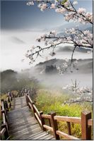 product-compare-58702667