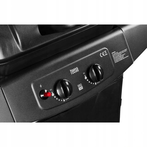 Grill Gazowy Teesa Bbq 2000 2 Palniki 5 Kw Tsa0080 na Arena.pl